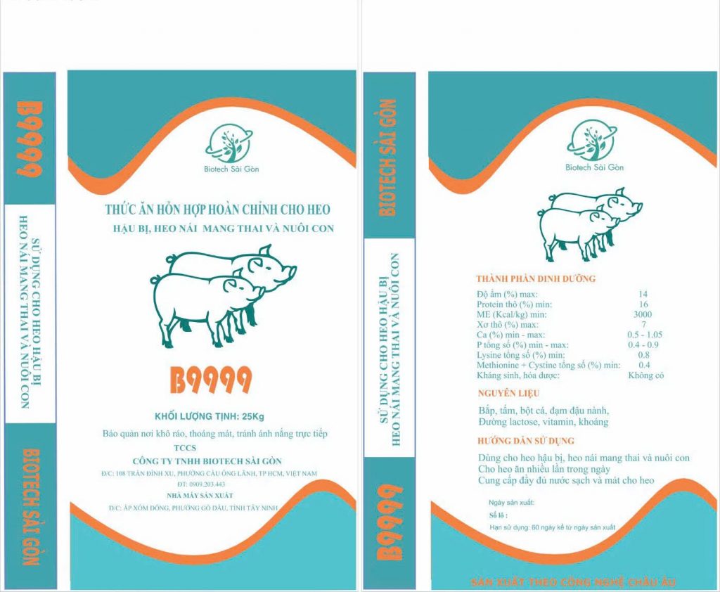 Thức ăn cho heo hậu bị, mang thai và nuôi con
