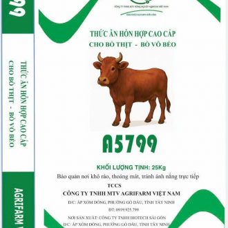 Thức ăn hỗn hợp cao cấp cho bò thịt - bò vỗ béo